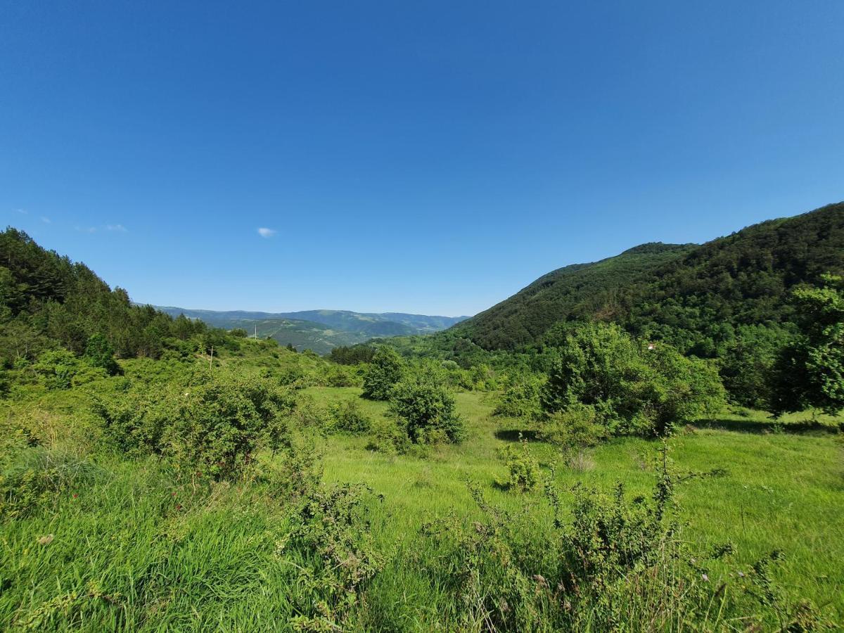 Zavojsko Jezero Pirot - Smestaj Manic Guest House Gostusa Exterior photo