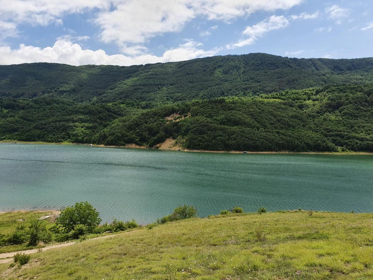 Zavojsko Jezero Pirot - Smestaj Manic Guest House Gostusa Exterior photo